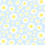 fleurs, marguerites