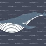 blue whale