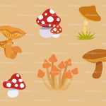 mushrooms