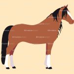 horse