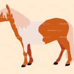 horse
