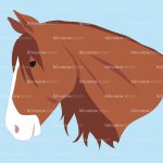 horse