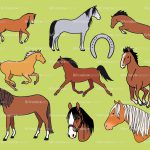 horses