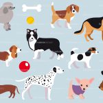 dogs