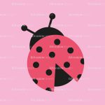 ladybird