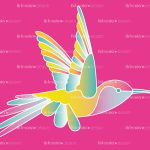 hummingbird