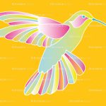 hummingbird