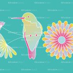 hummingbird