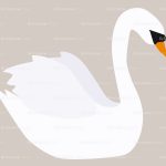 swan