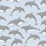dolphins