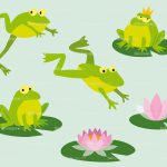 frogs
