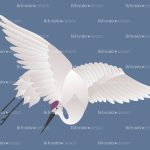 crane