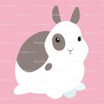 bunny