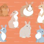 bunny
