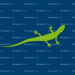 lizard