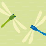 dragonflies
