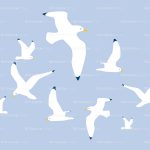 seagulls
