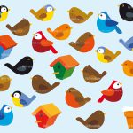 birds