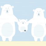bears