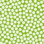 daisies
