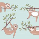 sloth