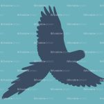 parrot