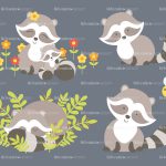raccoon