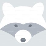 raccoon