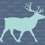 rindeer