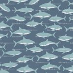 sharks