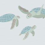 turtles