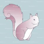 squirrel