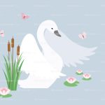 swan