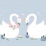 swan