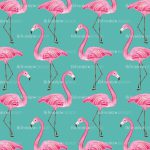 flamingos
