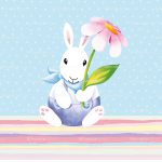 rabbit