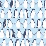 penguins