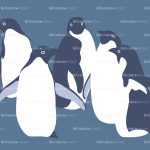 penguins