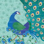 peacock