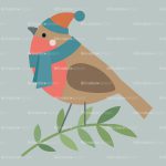 robin